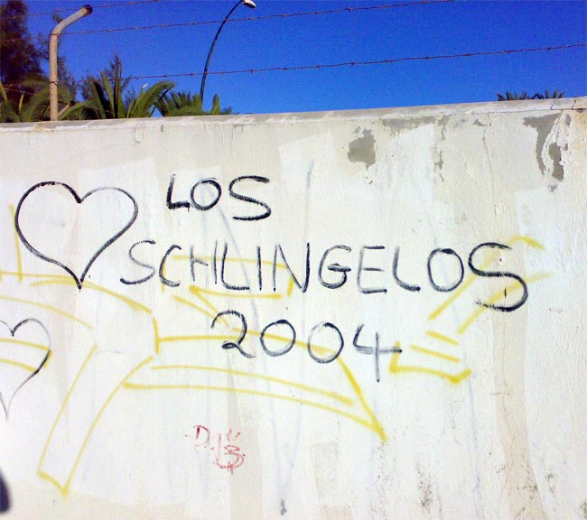 Schlingelos auf Fuerteventura